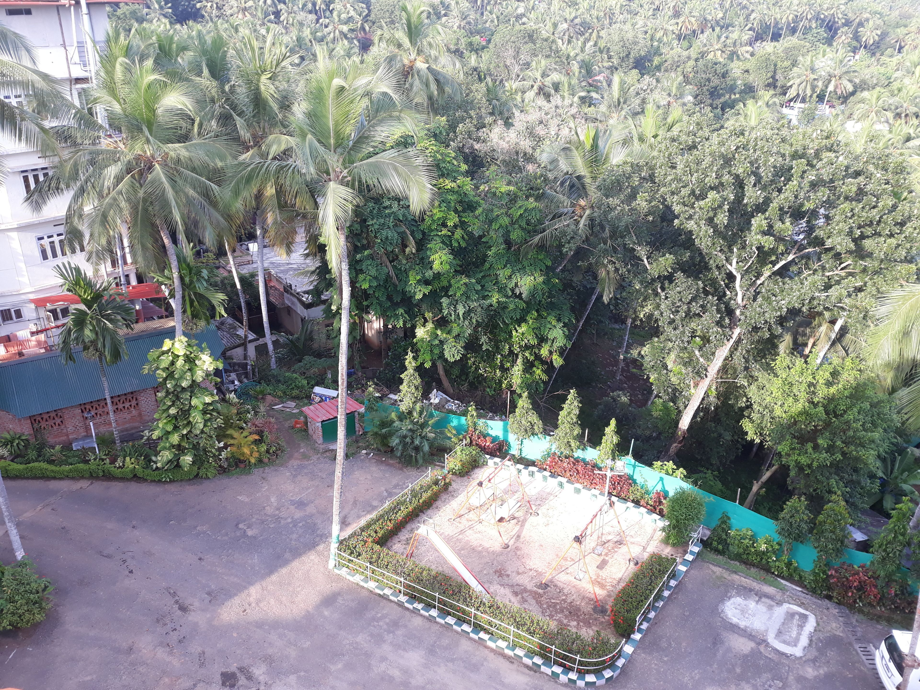 A courtyard with palm trees, a small garden, and a fenced play area.