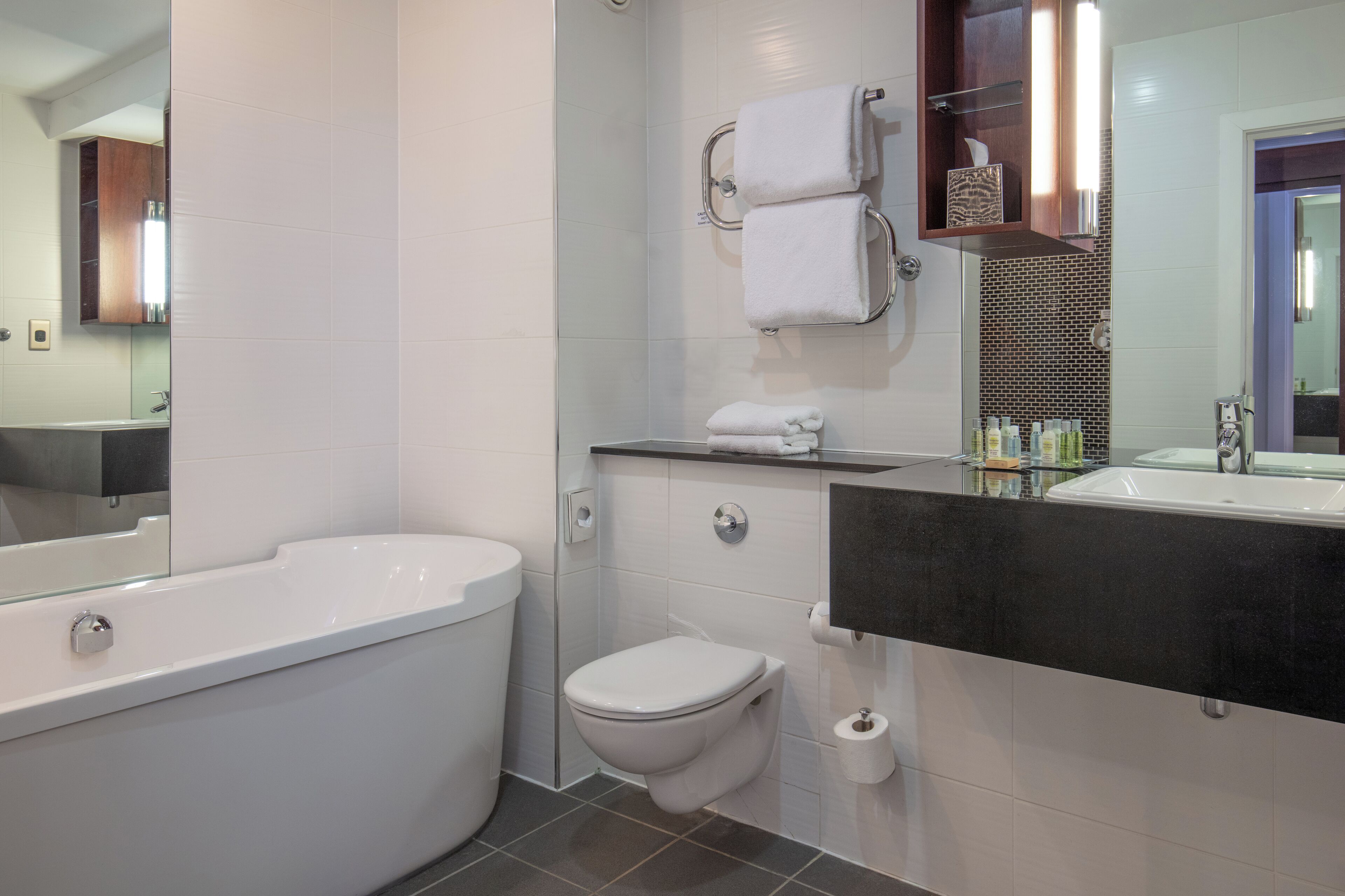 A modern bathroom with a freestanding bathtub, a toilet, and a vanity with a mirror.