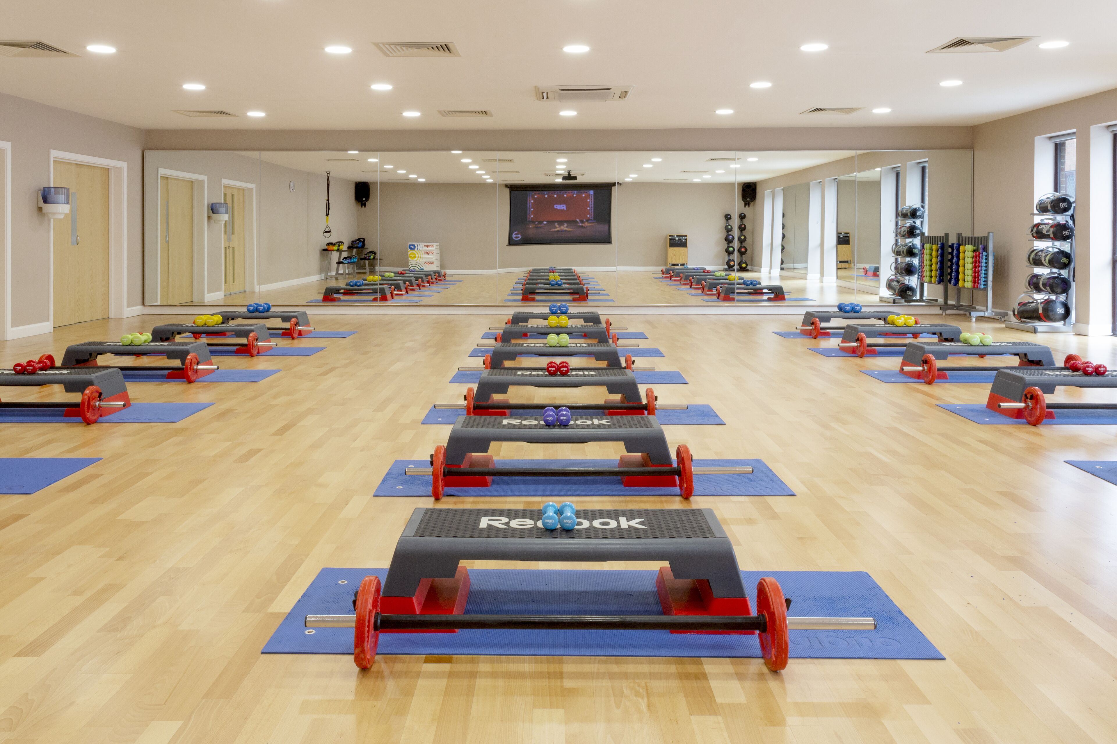 Un gimnasio con filas de equipo de levantamiento de pesas, colchonetas azules y un amplio espejo en la pared.