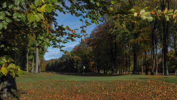 A golf course with a flagstick in the center, surrounded by trees and a grassy area with fallen leaves.