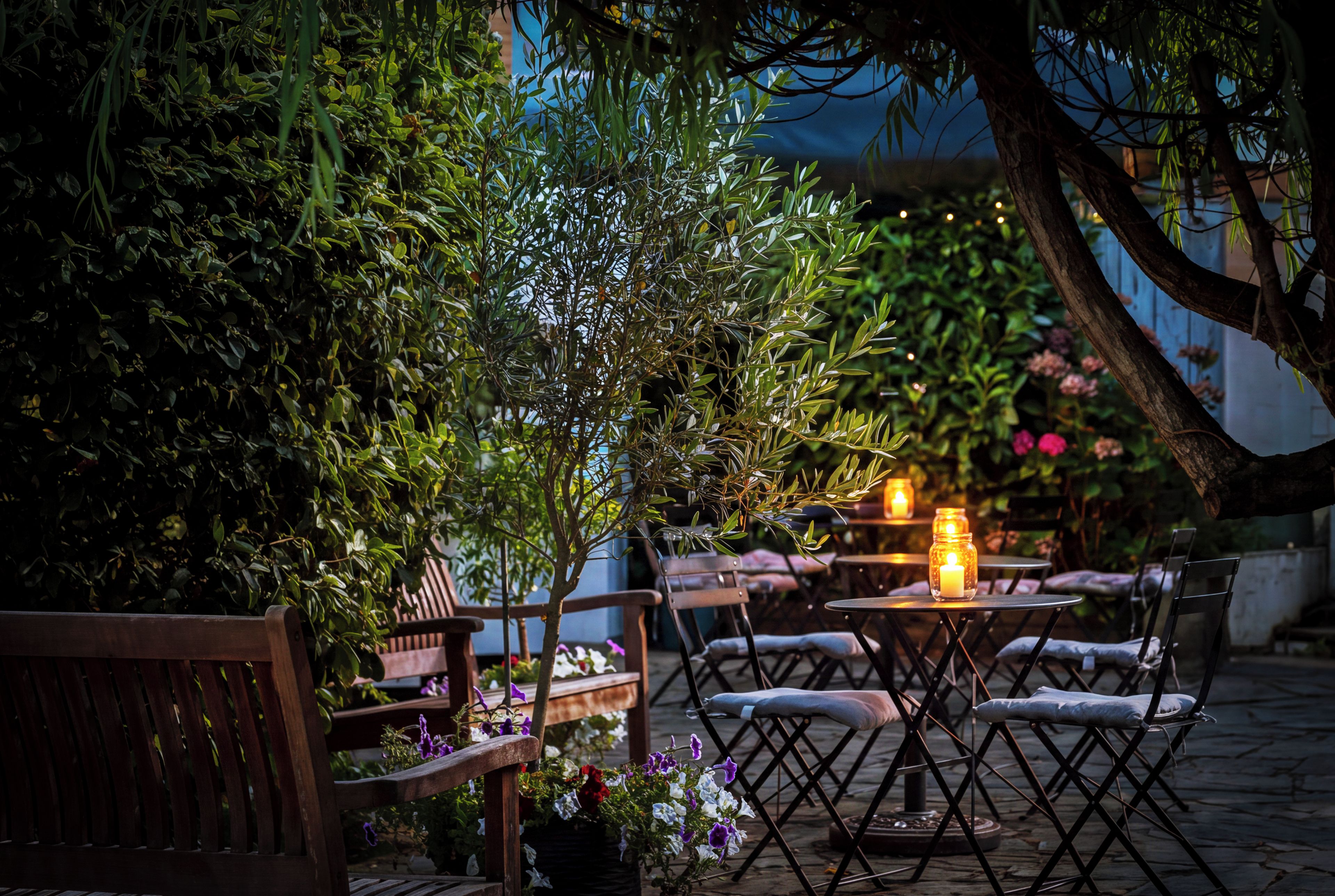 An outdoor seating area with tables and chairs, surrounded by greenery and plants.