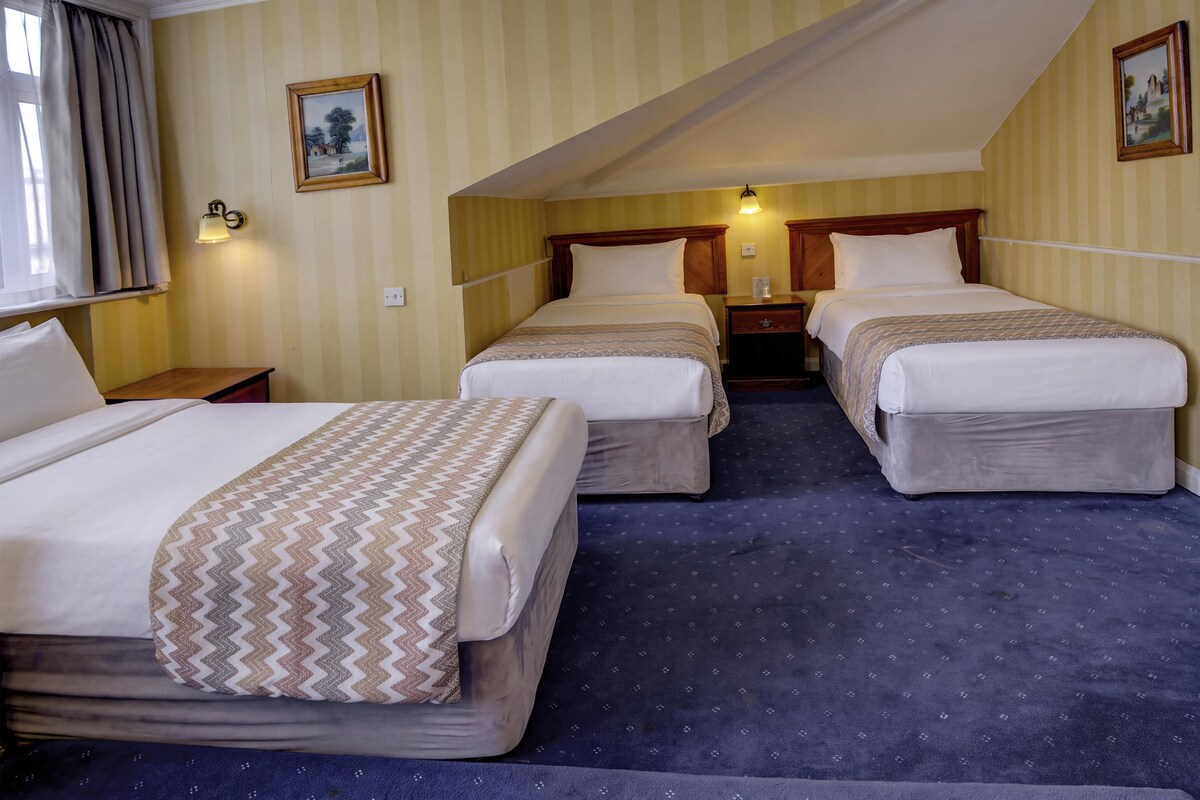 Standard Room, 3 Single Beds, Non Smoking | Desk, iron/ironing board, free WiFi, individually decorated