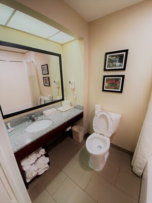 Combined shower/tub, free toiletries, hair dryer, towels