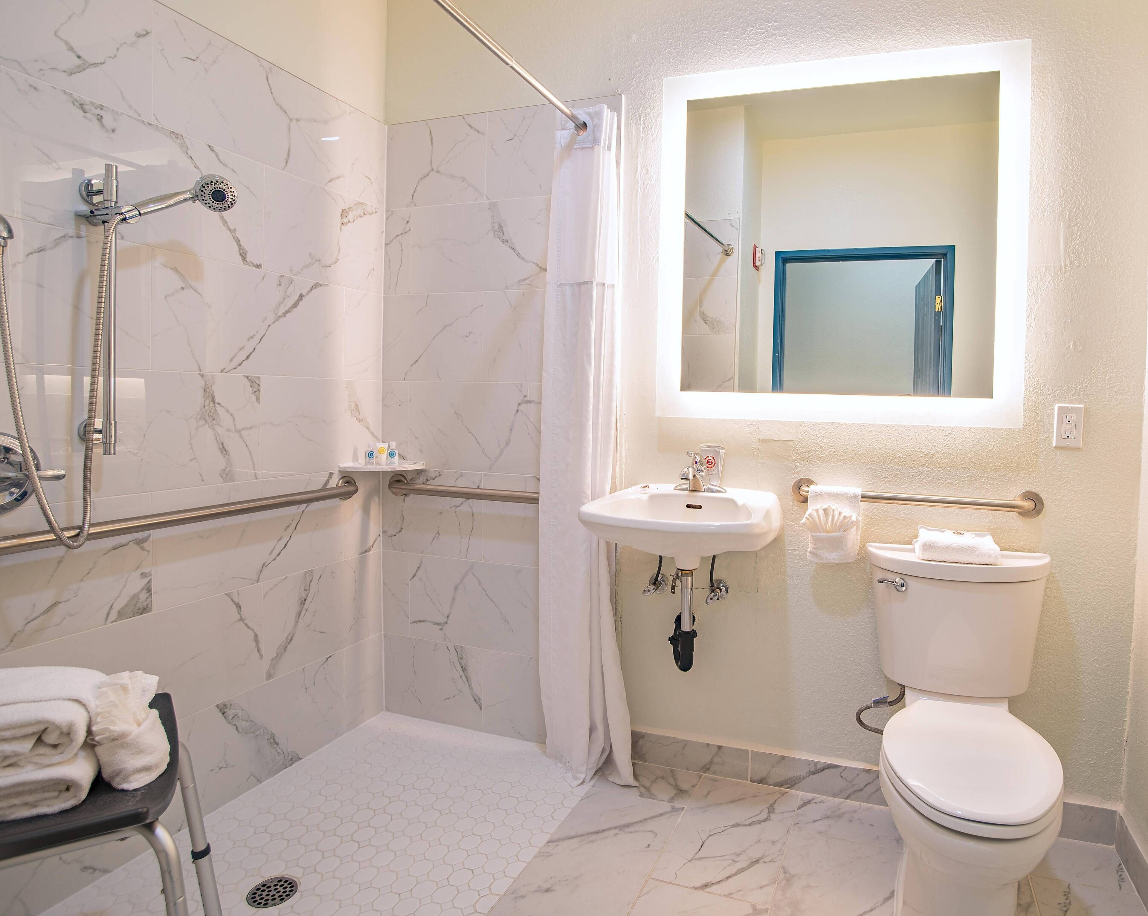 standard room, 1 king bed, accessible, non smoking (roll-in shower) | bathroom | free toiletries, hair dryer, towels, soap