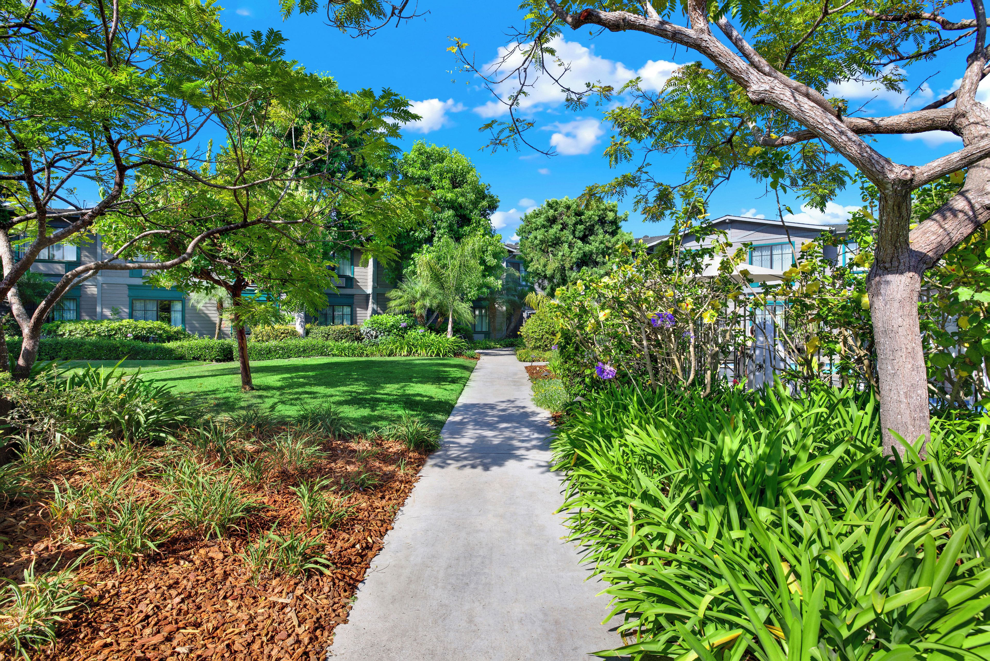 A pathway flanked by lush greenery and trees, leading to a building with a modern design.