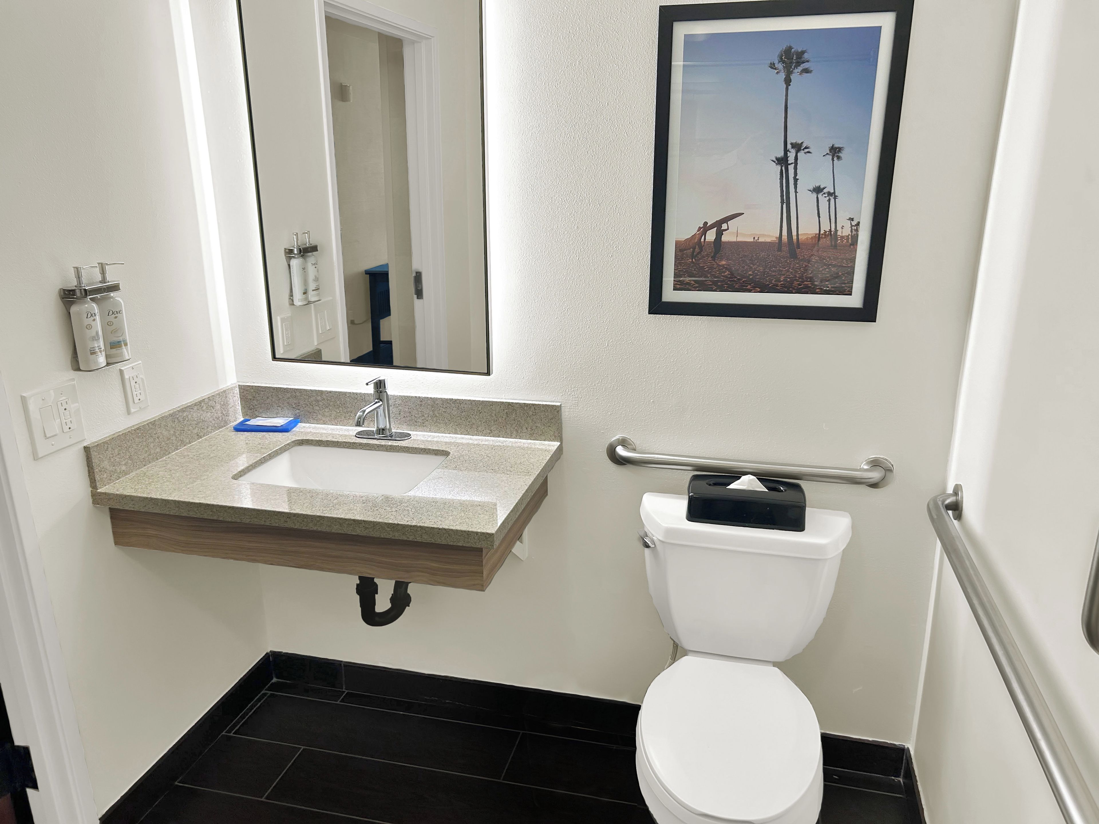 A bathroom with a granite sink, a white toilet, a framed picture on the wall, and a handrail.