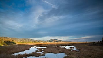 A natural landscape with a flat terrain, water bodies, and distant mountains under a cloudy sky.
