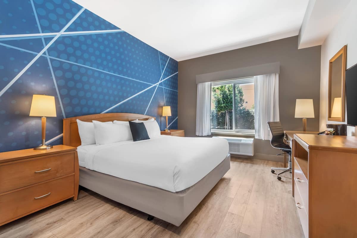 Chambre, 1 très grand lit, douche accessible en fauteuil roulant, non-fumeurs | Literie de qualité supérieure, couette en duvet d'oie