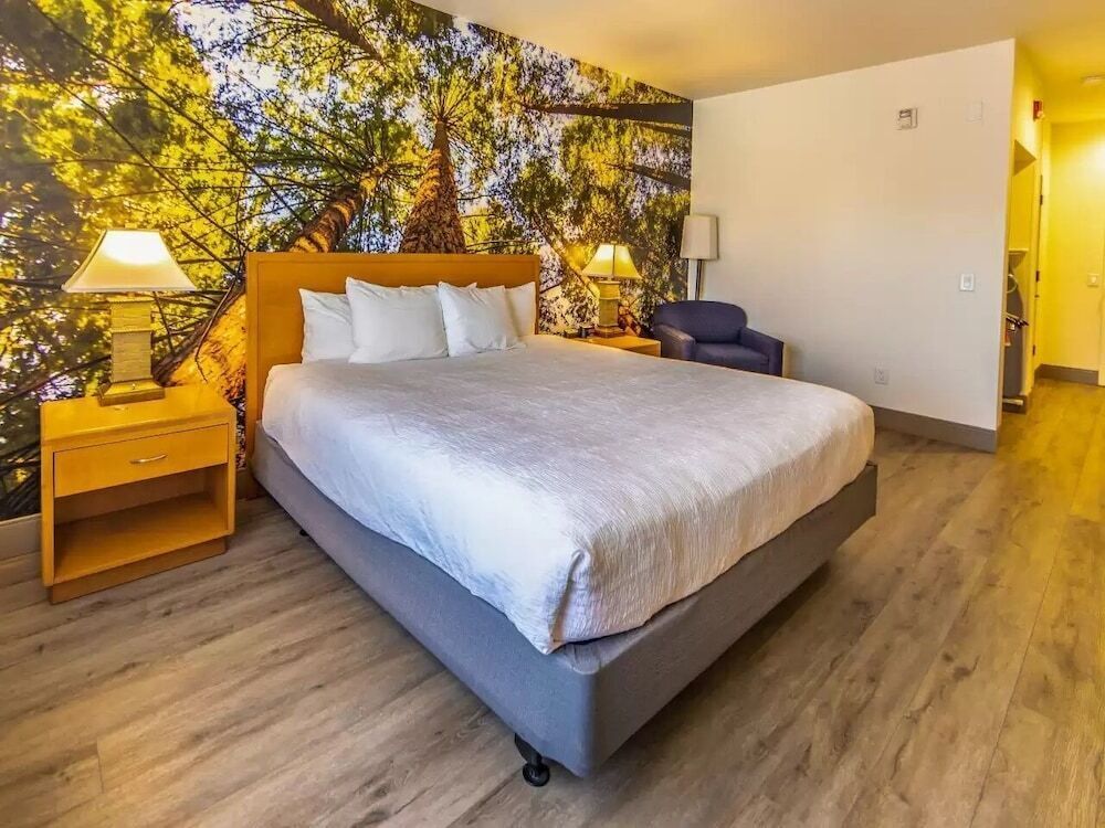 Premium bedding, down duvets, Select Comfort beds
