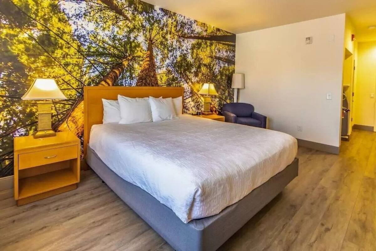 Premium bedding, down comforters, Select Comfort beds