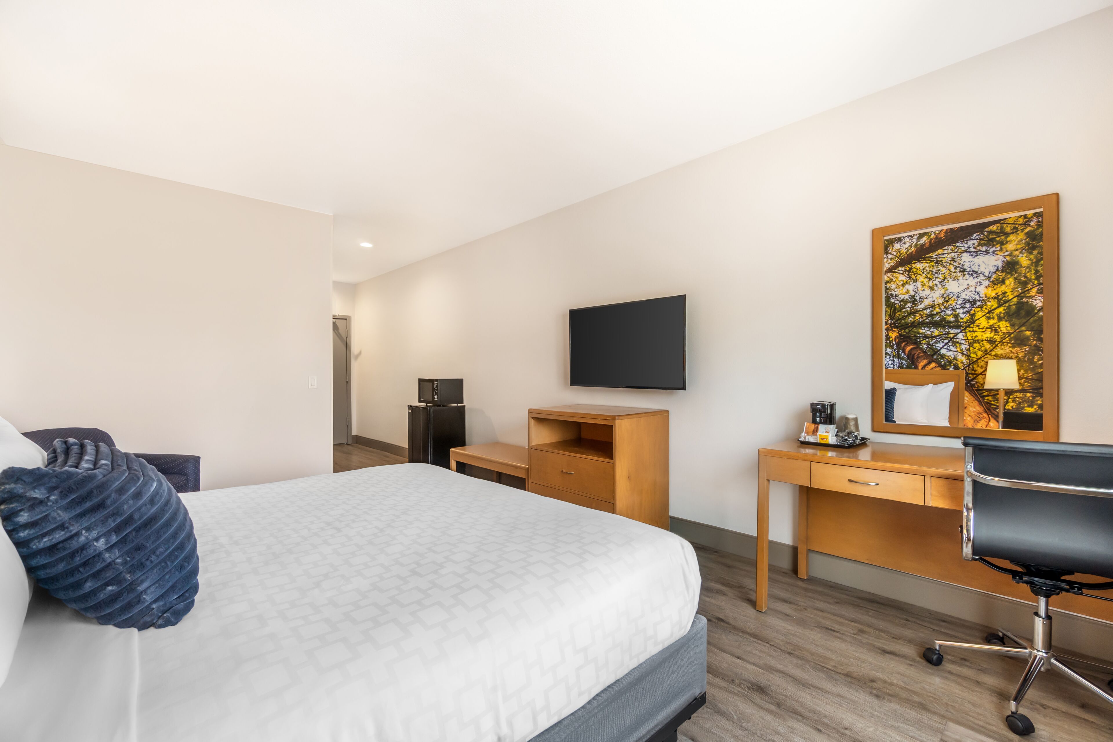 Habitación de hotel con cama, escritorio, silla, televisión y un cuadro en la pared.