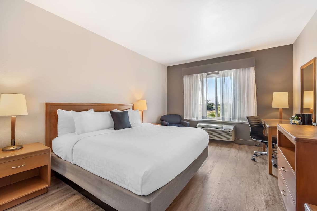 Chambre Standard, 1 très grand lit, non-fumeurs | Literie de qualité supérieure, couette en duvet d'oie