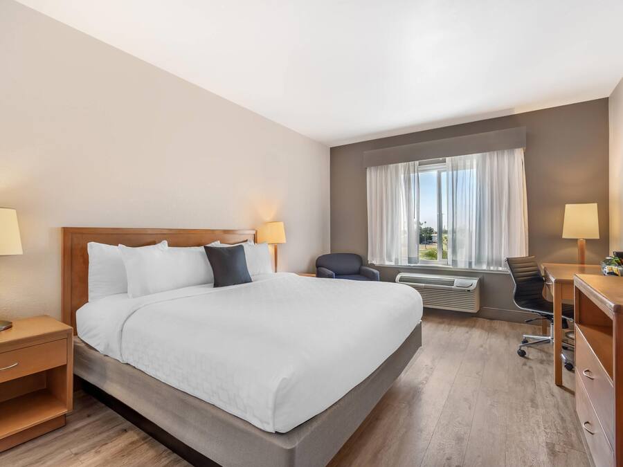 Standard Room, 1 King Bed, Non Smoking | Premium bedding, down duvets, Select Comfort beds, desk