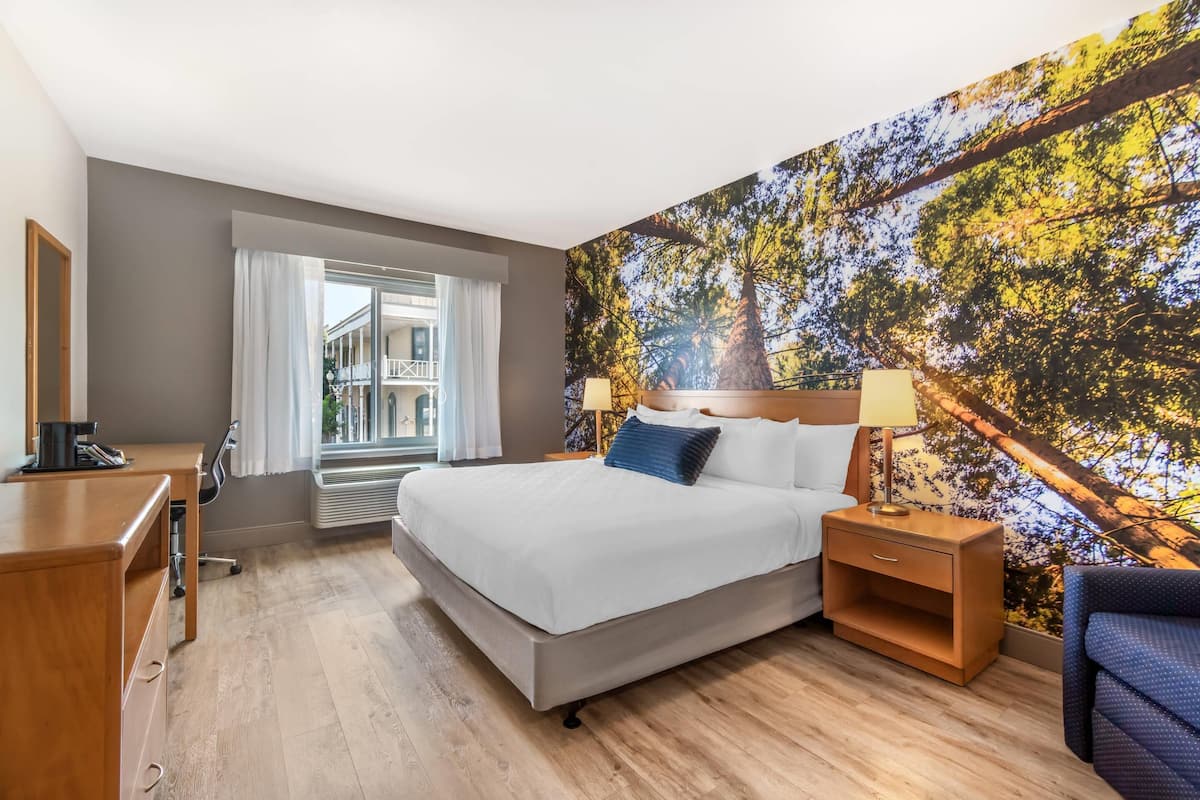 Chambre, 1 très grand lit, baignoire accessible aux personnes à mobilité réduite, non-fumeurs | Literie de qualité supérieure, couette en duvet d'oie