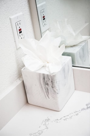 Combined shower/bathtub, free toiletries, hair dryer, towels