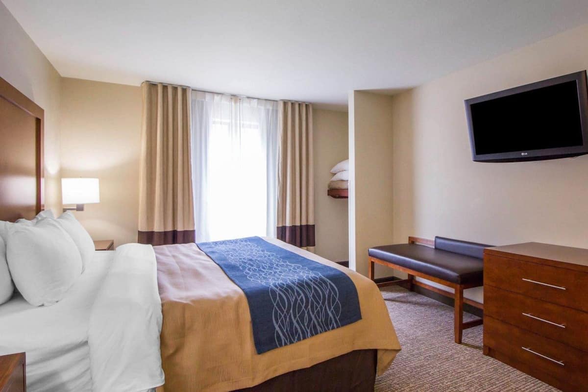 suite, 1 king bed with sofa bed, non smoking | desk, iron/ironing board, free cots/infant beds, free wifi