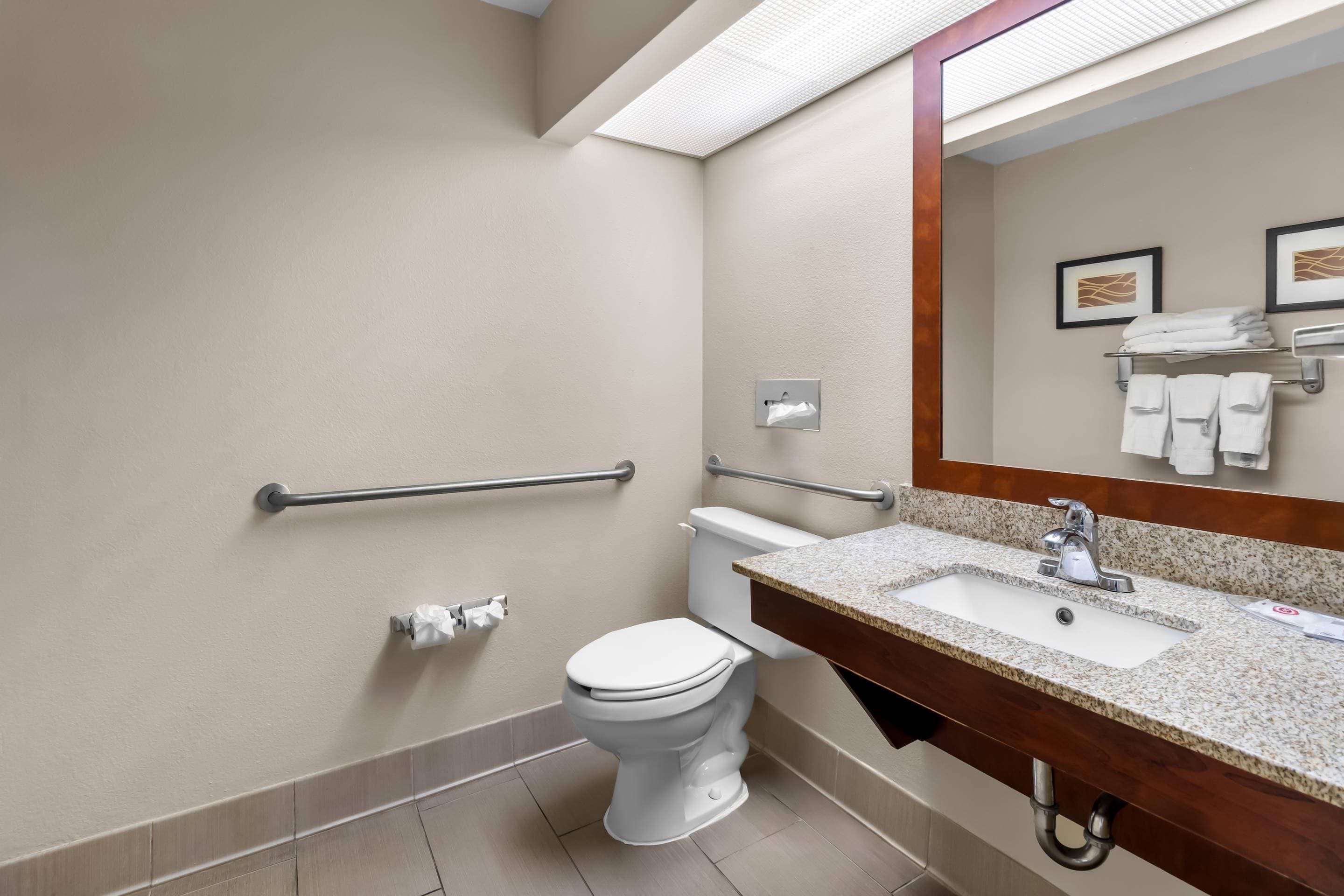 A bathroom with a toilet, sink, and handrails.