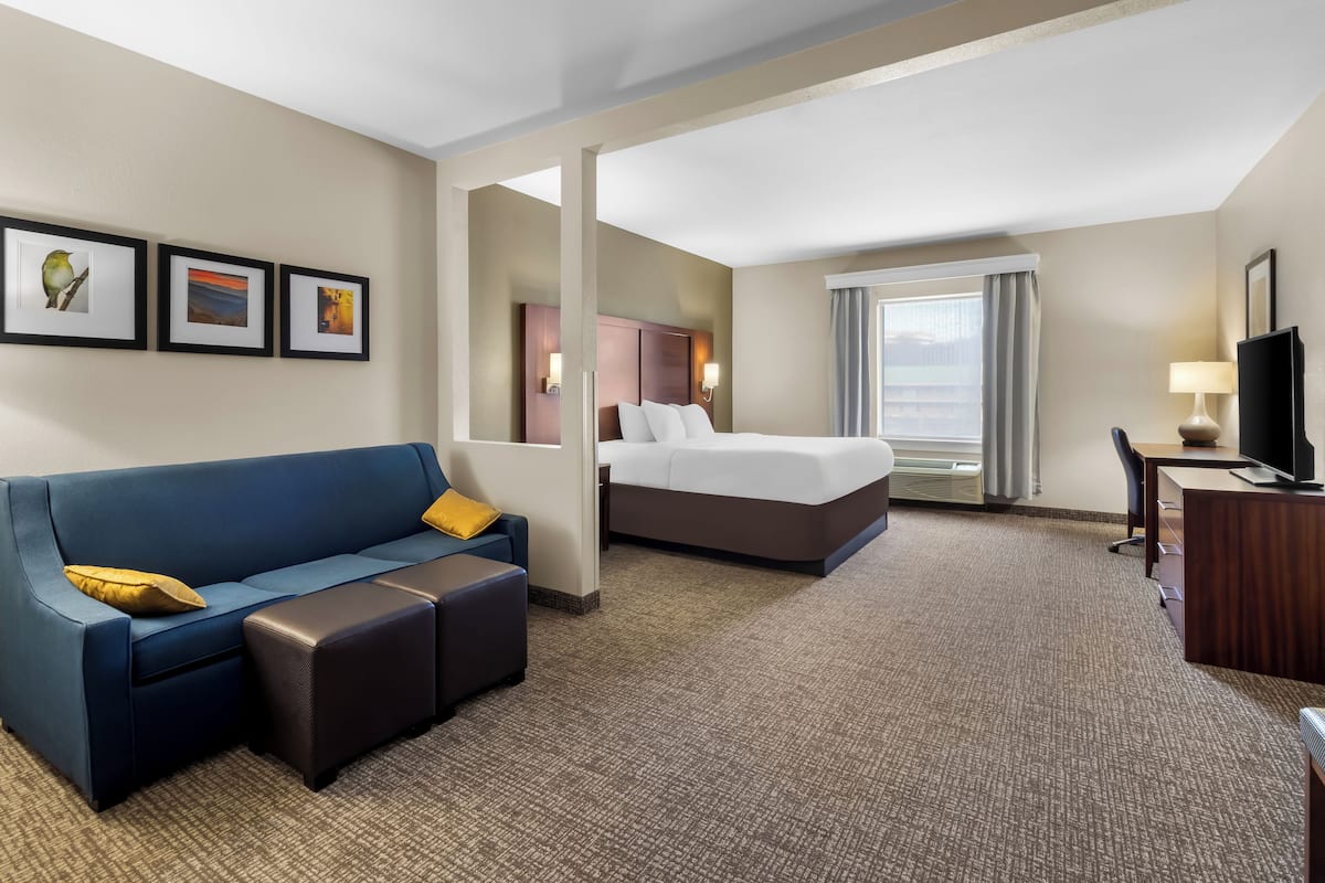 Suite, 1 King Bed with Roll-in Shower | Premium bedding, in-room safe, desk, iron/ironing board