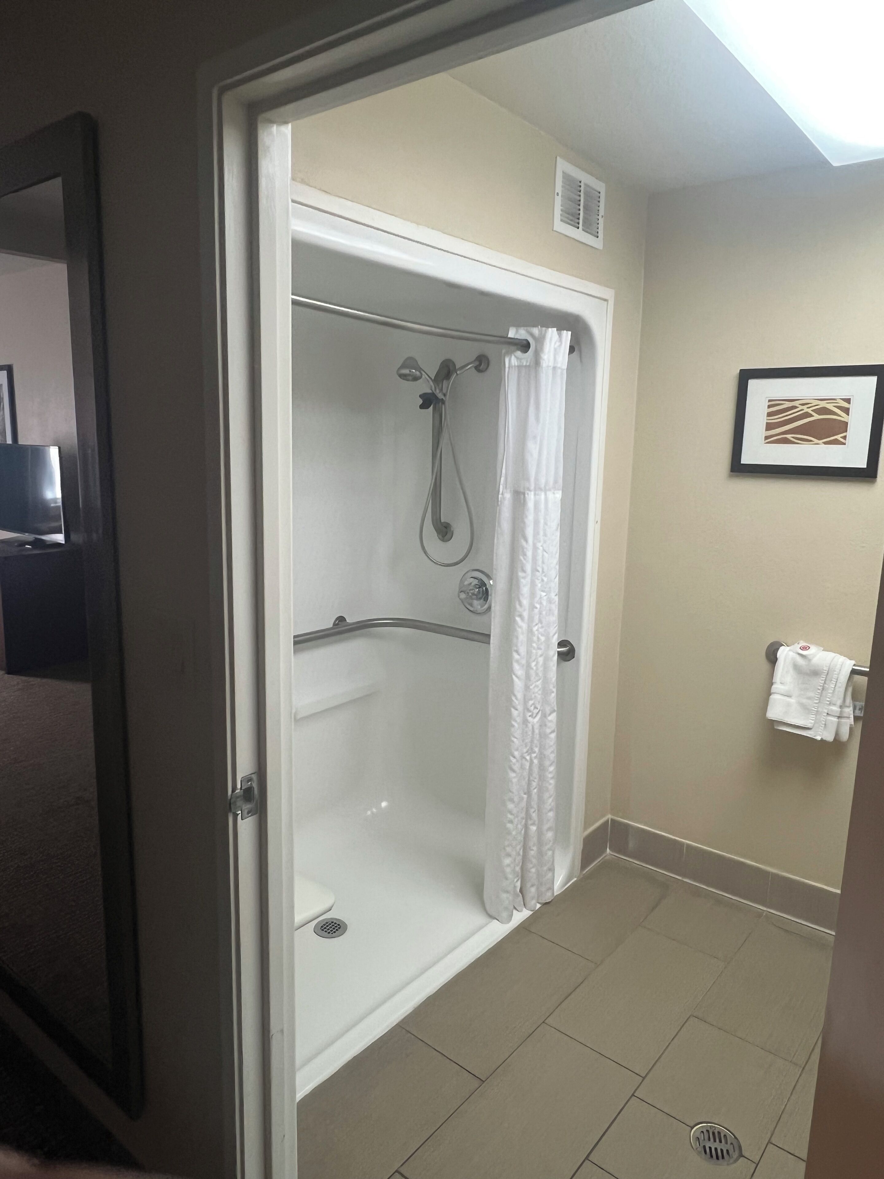 A shower area with a glass door, a towel rack with a towel, and a framed picture on the wall.