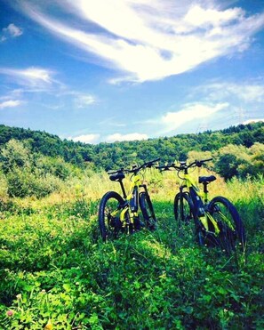Bicycling
