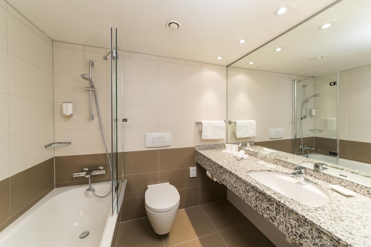 combined shower/bathtub, free toiletries, hair dryer, towels