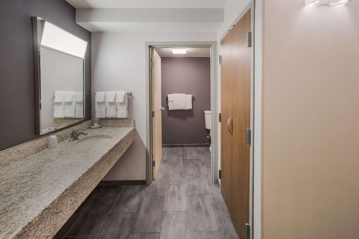 A modern bathroom with a granite countertop, a large mirror, and a wooden door.