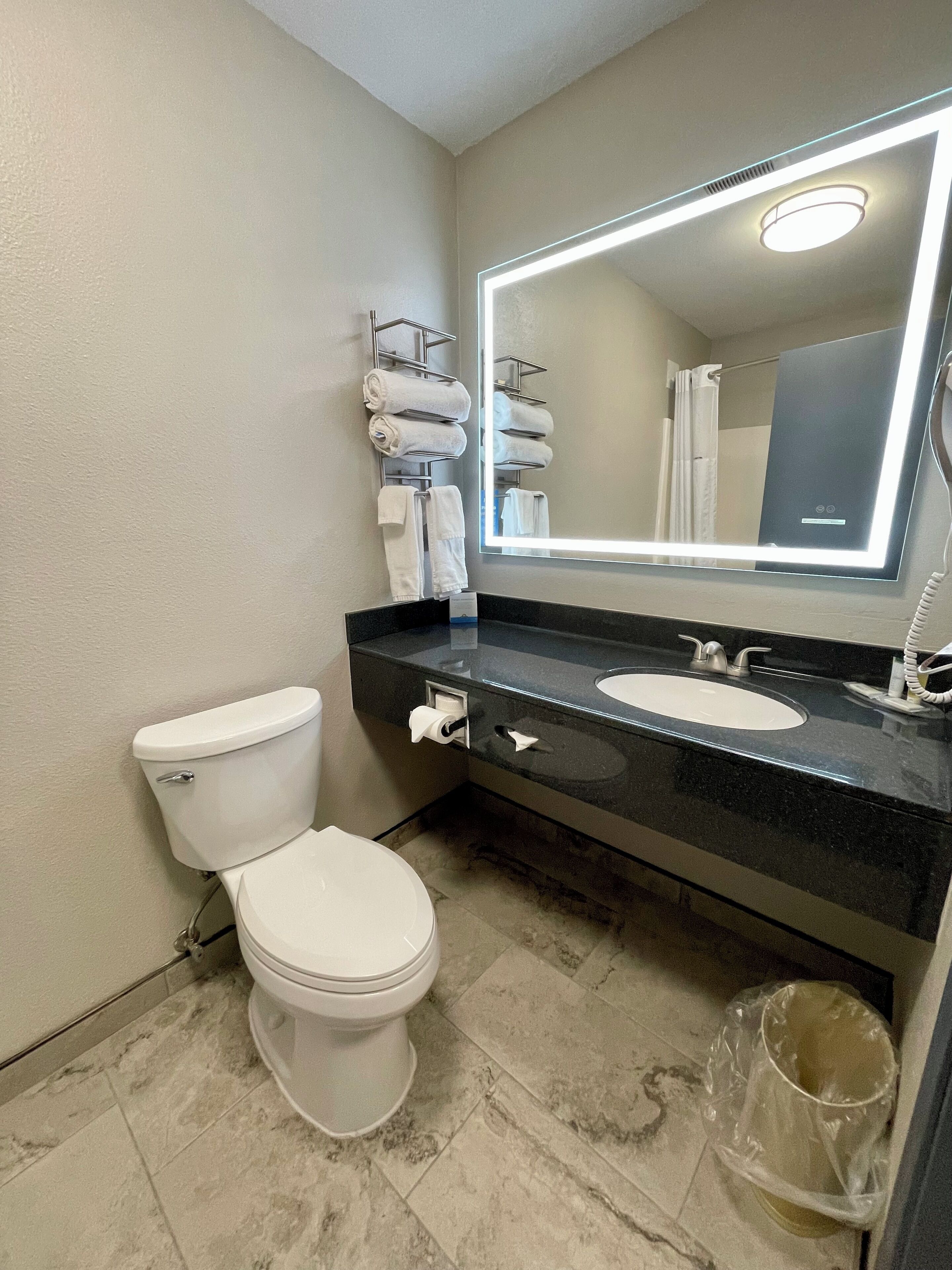 A modern bathroom with a toilet, sink, and large mirror.