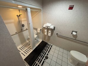 Compact bathroom with a toilet, shower, and handrail for accessibility.