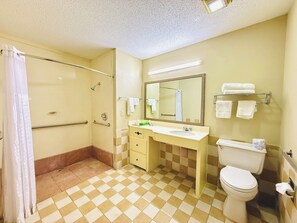 A bathroom with a shower, toilet, sink, and mirror.