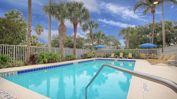 Outdoor pool, sun loungers