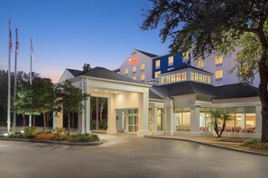 Exterior - Hilton Garden Inn Tampa North Busch Gardens (Tampa)