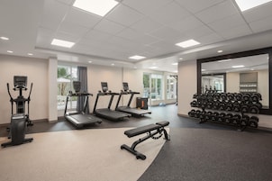 Ein Fitnessraum mit Laufbändern, einem Ergometer, einer Bank und einem Hantelständer.