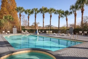 Une piscine avec des chaises longues et des palmiers en arrière-plan.