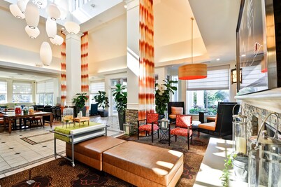 Hilton Garden Inn Tampa North Busch Gardens