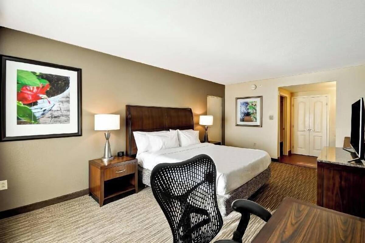 Habitación de hotel con cama, dos lámparas de noche, un escritorio con silla, televisor y cuadros en las paredes.