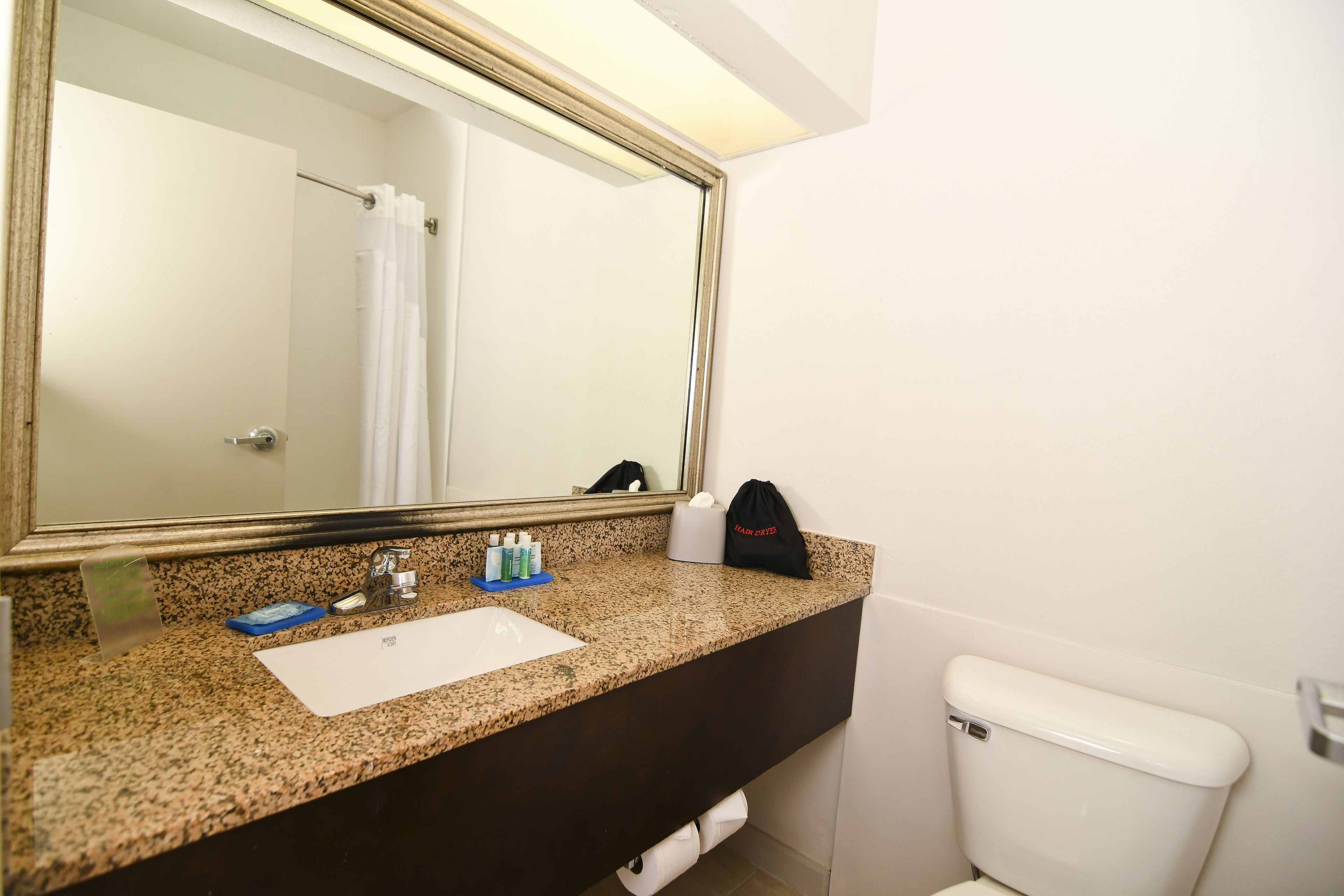 Une salle de bain avec un comptoir en granit, un lavabo blanc, un grand miroir, des toilettes et un porte-serviettes.