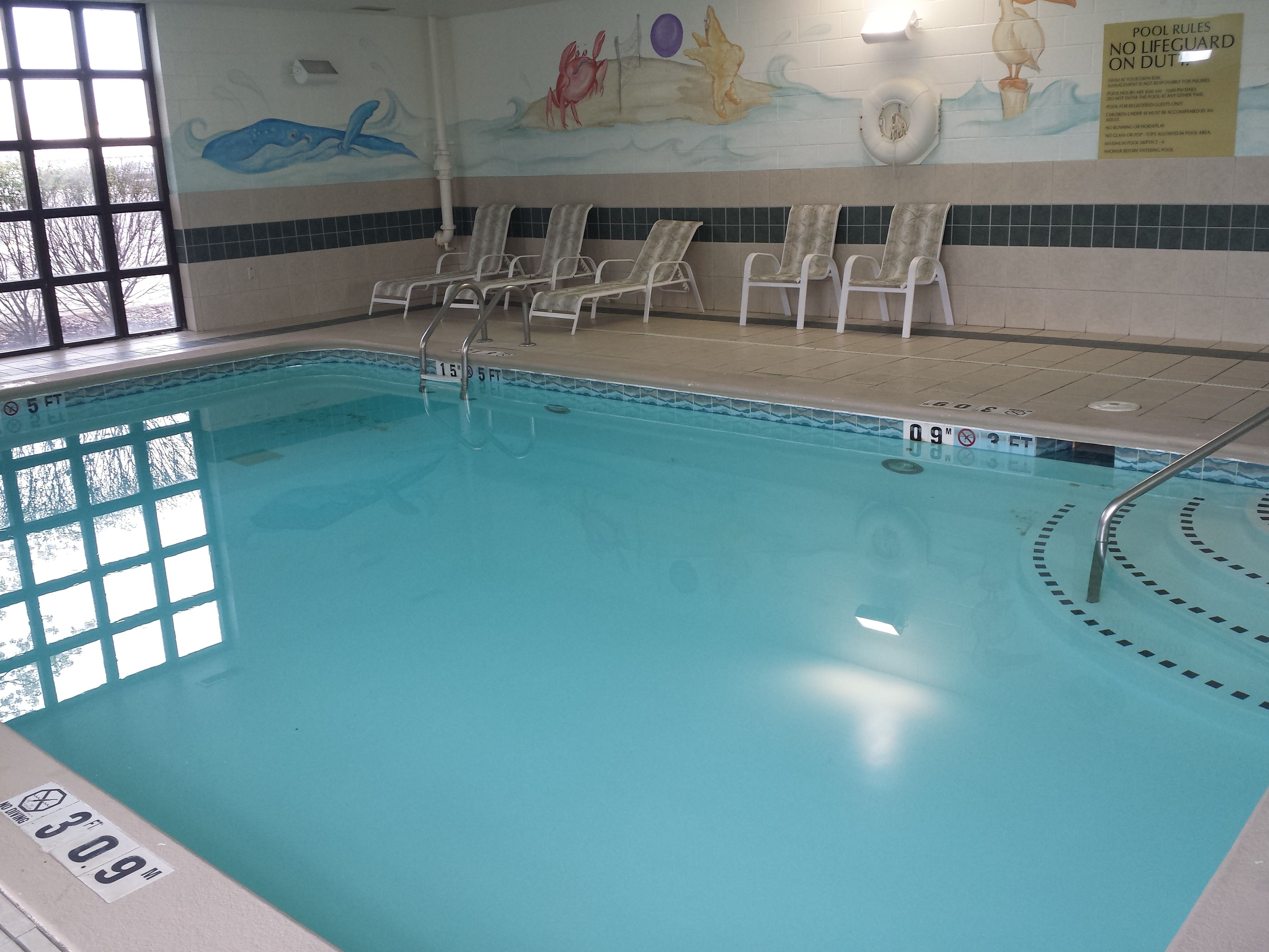 indoor pool, pool loungers