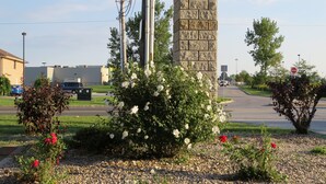 A stone pillar with white flowers, surrounded by pebbles and small shrubs. - Lexington Inn & Suites Windsor (Windsor)