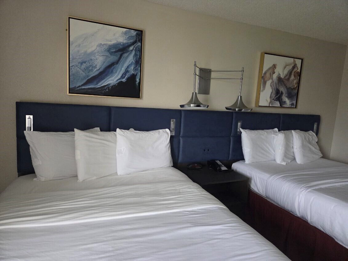 Foto - Hamilton Inn Birmingham-Bessemer