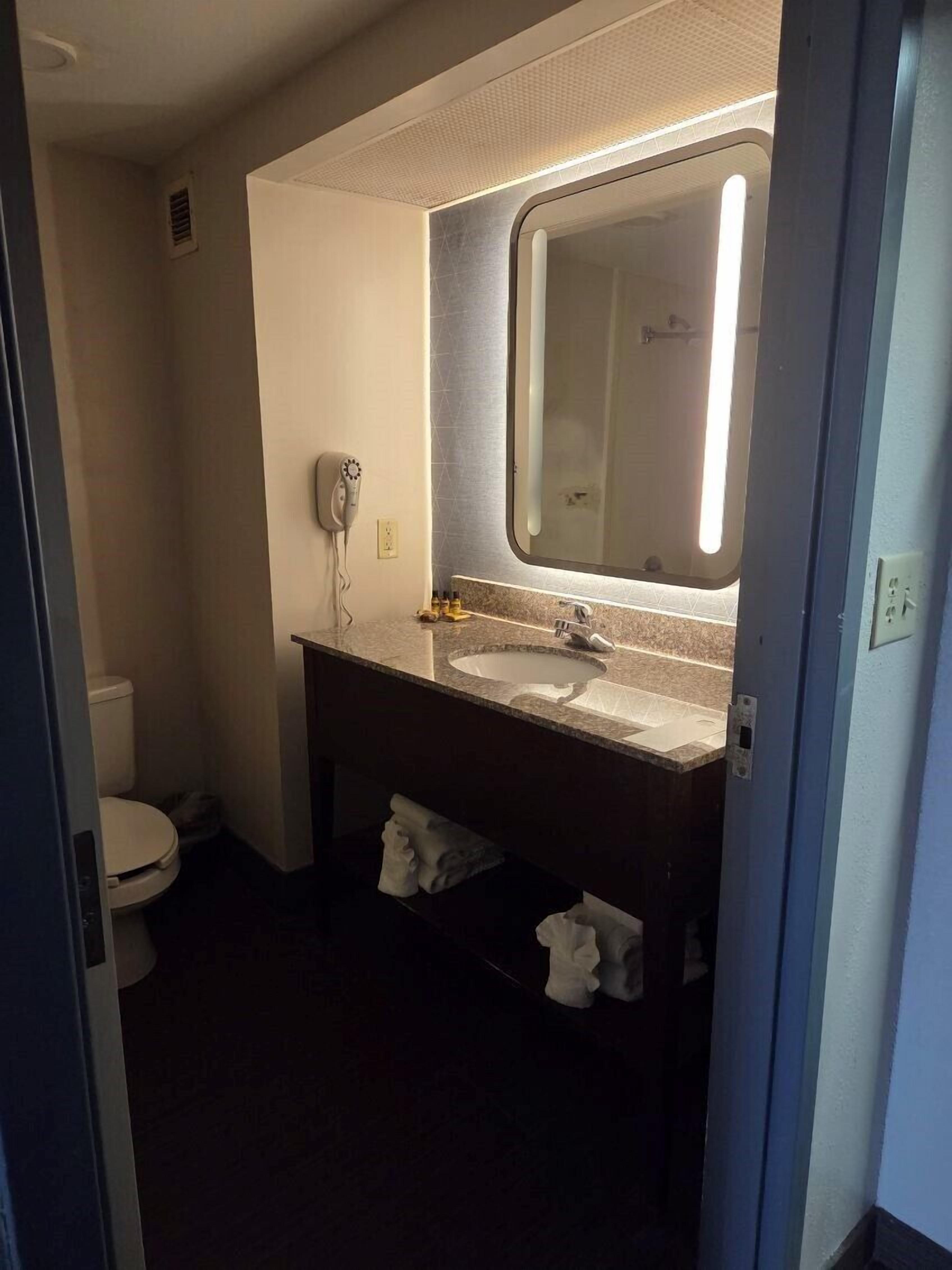 Photo - Hamilton Inn Birmingham-Bessemer