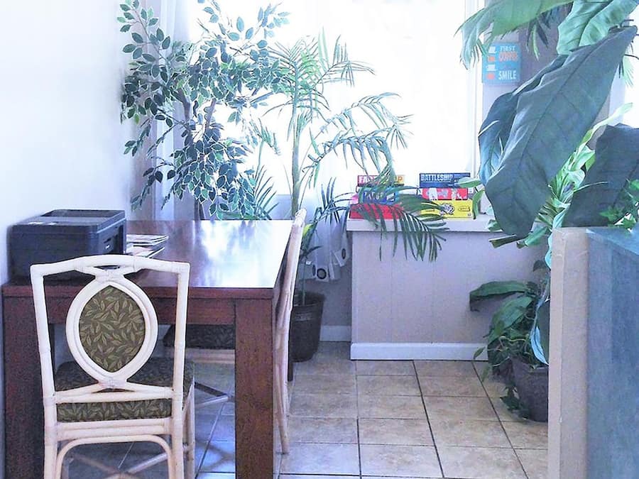 Servicio de la propiedad