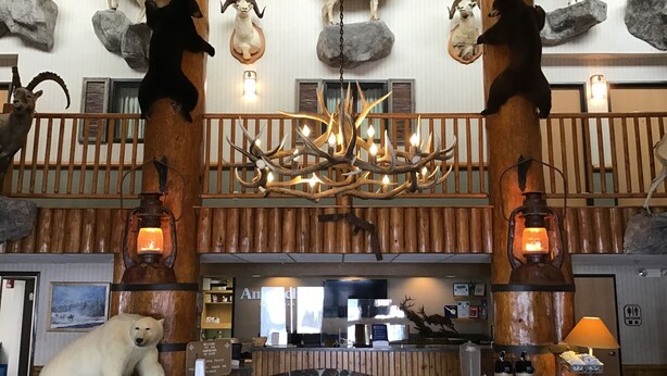 A lobby with a stone wall, wooden paneling, a chandelier, and various animal taxidermy. - AmericInn by Wyndham Cody (Cody)