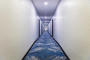 Vue depuis l’hébergement