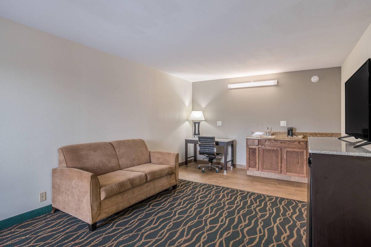Une chambre meublée comprenant un canapé, un bureau avec une chaise, un téléviseur et un coin cuisine.