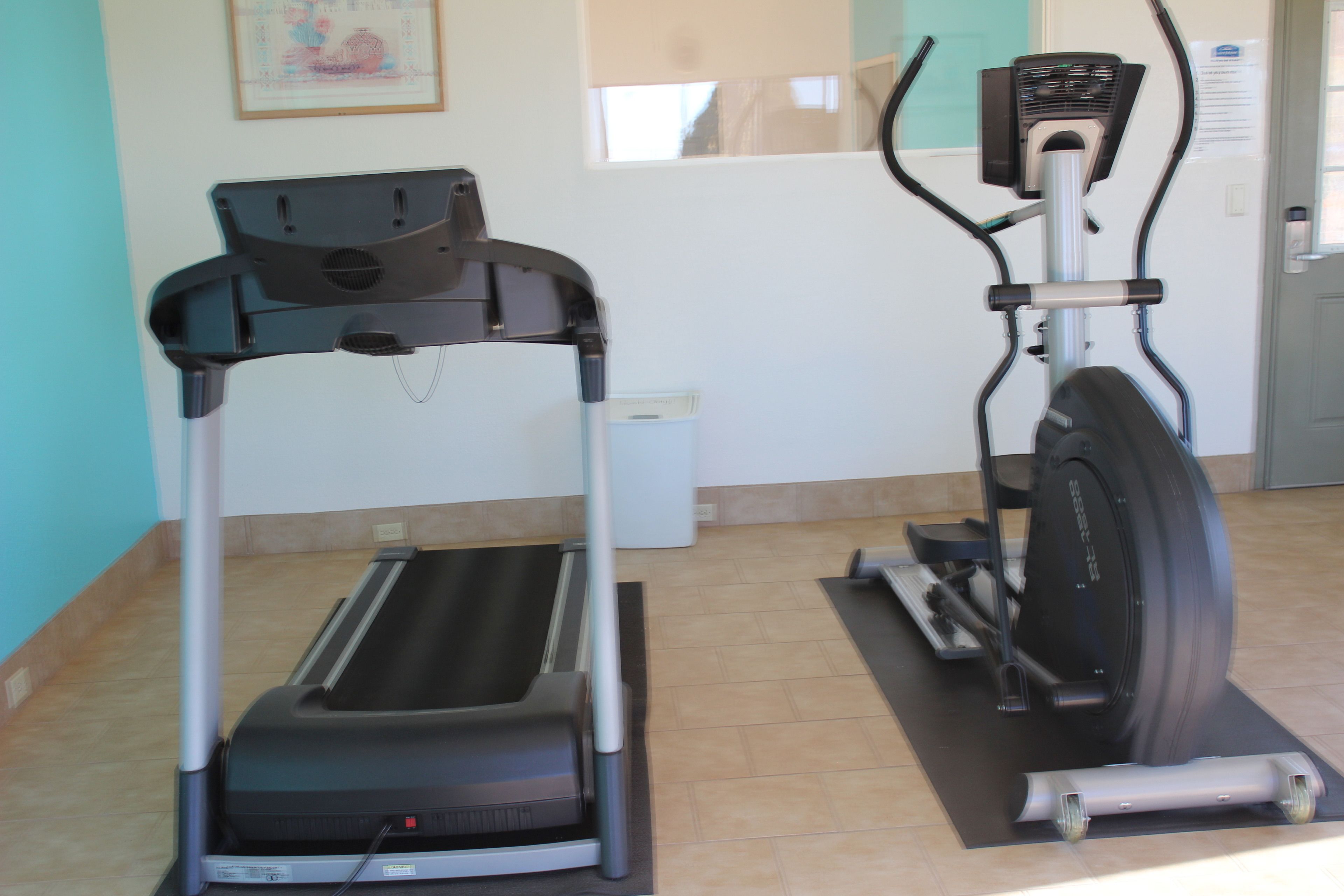 A gym with a treadmill and an elliptical machine.