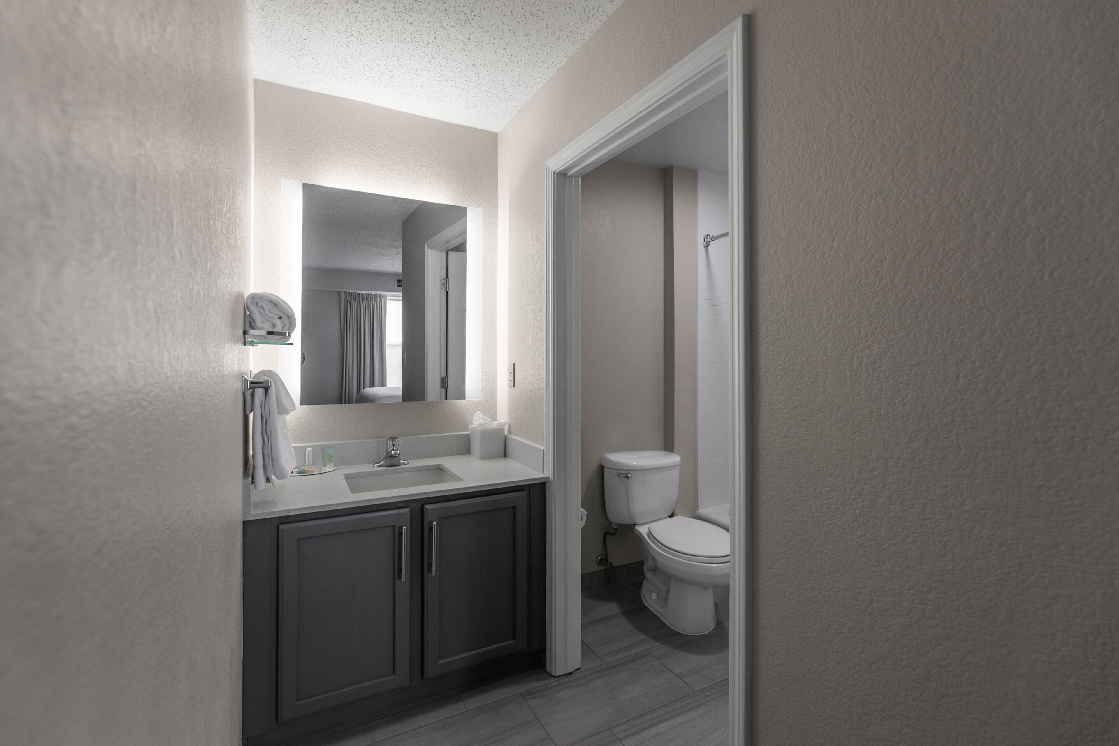 A modern bathroom with a large mirror, a sink, and a toilet.
