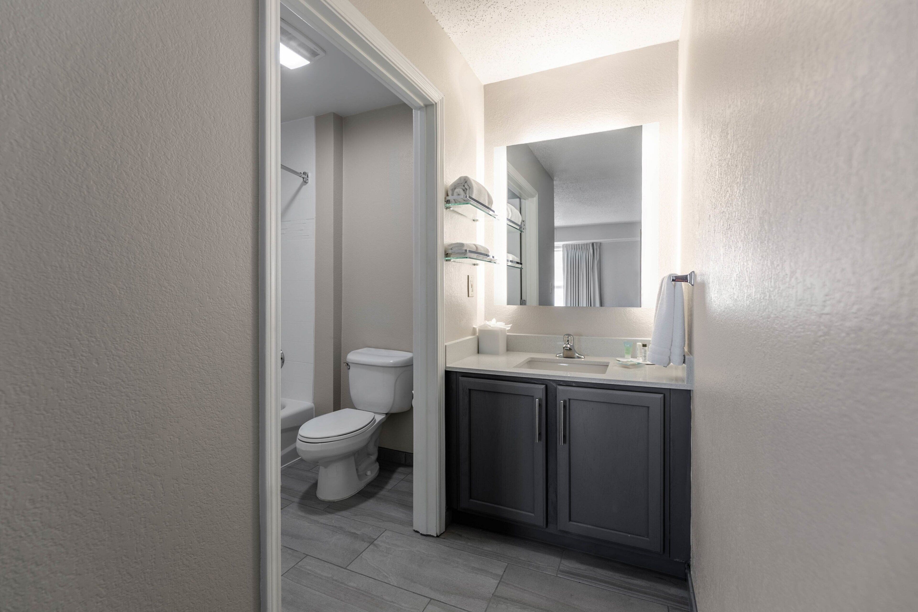 combined shower/bathtub, free toiletries, hair dryer, towels