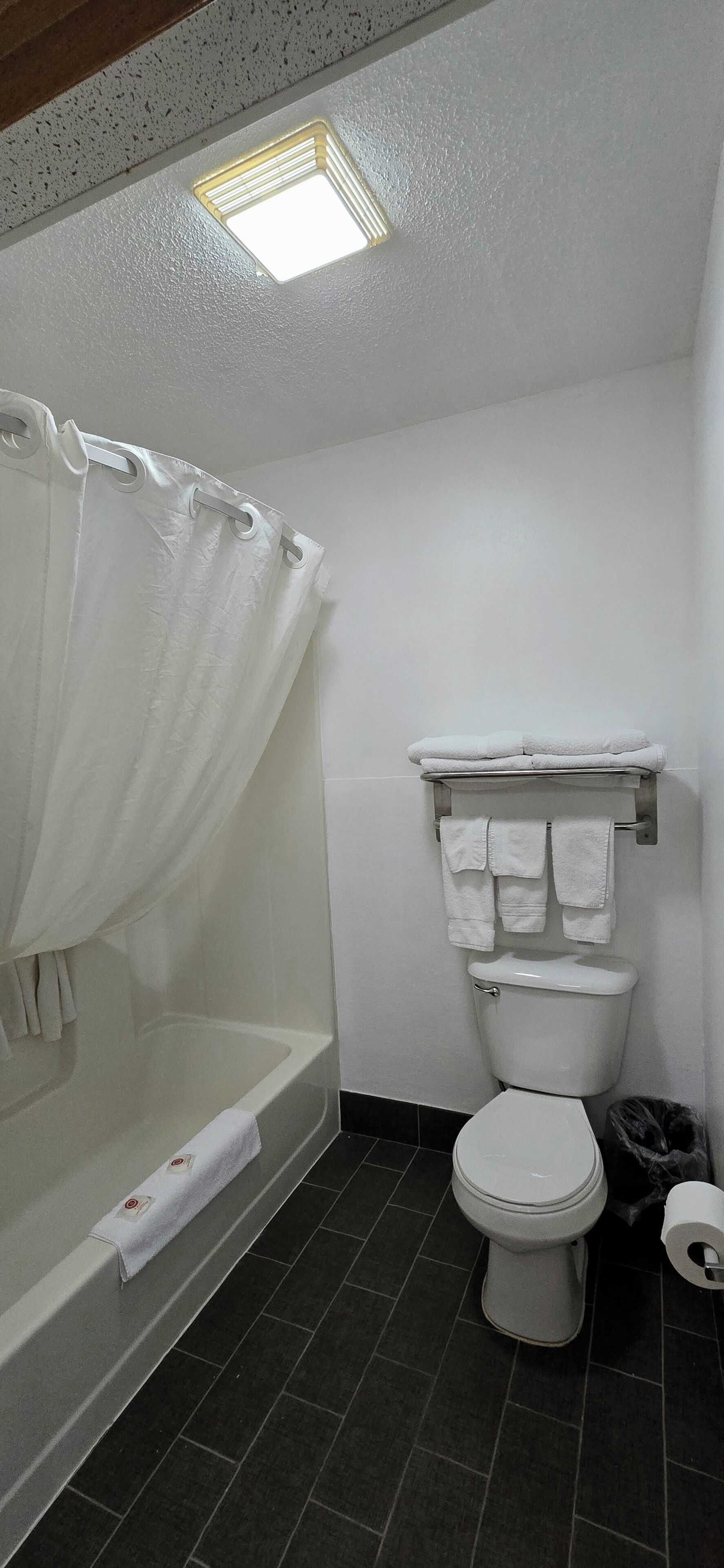 A bathroom with a bathtub, toilet, and a shower curtain.