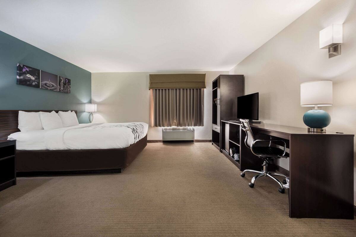 A hotel room with a bed, desk, chair, TV, and artwork on the wall.