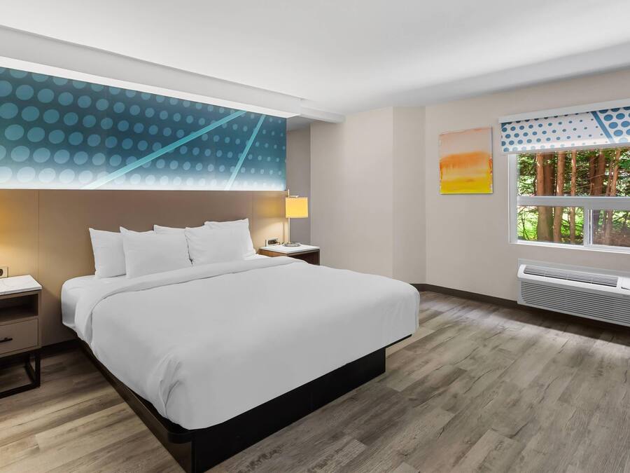 Et moderne hotelværelse med en stor seng, sengeborde med lamper, et natbord, et vindue med udsigt til træer og en væg med et geometrisk mønster.